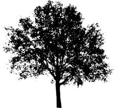 Tree Bush Nature Free Vector Graphic On Pixabay In additon, you can discover our great content using our search bar above. tree bush nature free vector graphic