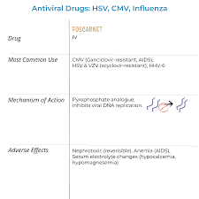 Image result for Foscarnet