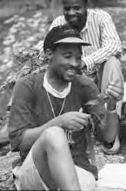 Image result for Brachystegia michelmorei