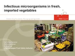 Flere produkter som inneholder johannesbrødkjernemel trekkes tilbake fra butikkhyllene. Kari Dommarsnes Seniorinspektor Mattilsynet Infectious Microorganisms In Fresh Imported Vegetables Kari Dommarsnes Seniorinspektor Mattilsynet The Norwegian Ppt Download