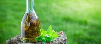 Il rosmarino selvatico, profumatissima pianta protagonista del liquore biologico di linfa salento, cresce nel territorio salentino in maniera spontanea e viene raccolto dal periodo primaverile fino a luglio. Liquore Alle Erbe Il Digestivo Ideale Per Brindare All Anno Nuovo