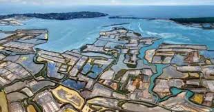 Sel Saline Recherche Google Guerande Bretagne Marais Salant