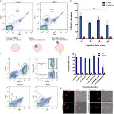 Bantuan idana ini dahulunya dikenali sebagai dana terengganu. Quantitative Phospho Proteomics Reveals The Plasmodium Merozoite Triggers Pre Invasion Host Kinase Modification Of The Red Cell Cytoskeleton Scientific Reports