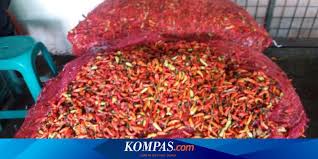 Tak perlu modifikasi yg penting setia sama keluarga. Cabai Rawit Merah Capai Rp 90 000 Per Kg Berapa Harga Di Petani Halaman All Kompas Com