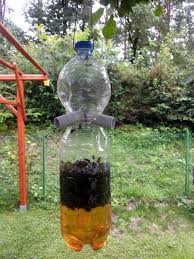 Attrape Mouche Guepe Protection Abeilles Eau Sucre Et Vinaigre Ou Vin Biere Bee Keeping Stingless Bees Bee Hive