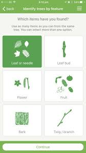 This does get a little confusing though if trees of different species are nearby. Tree Id British Tree Identification By Woodland Trust Tree Identification Tree Id Kids App