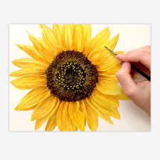Next you need to double load a flat brush (size of brush depends on the size of your sunflower, in this demo i used a #12 flat brush) with a yellow ochre or a darker gold color and a medium yellow. Flower Painting Easy Sunflower Novocom Top