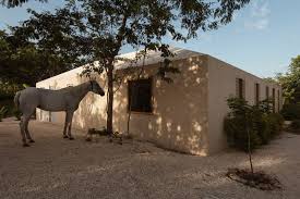 Image result for Galopina