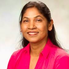 Board and Committees