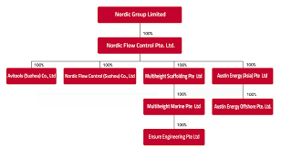 corporate structure nordic group limited