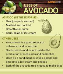Health Benefits Of Avocado Fruit How To Eat During Pregnancy Parentcircle