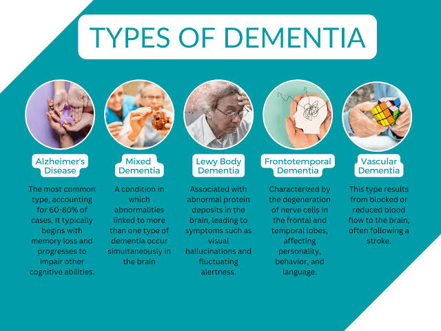 Understanding Dementia: Exploring Types, Reducing Risks, and A Safe  Environment For Dementia Loved Ones - CarePatrol of Western Michigan -  Capital Region