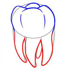 Eine praxisbezogene ausbildung und die familiäre atmosphäre zeichnen uns aus. Zahn Zeichnen Lernen Schritt Fur Schritt Tutorial Zeichnen Leicht Gemacht