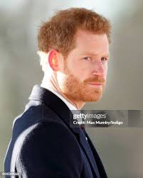 2,696 Max Stern Stock Photos, High-Res Pictures, and Images