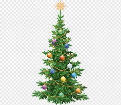 Strong branches that are layered. Abies Koreana Png Images Pngwing