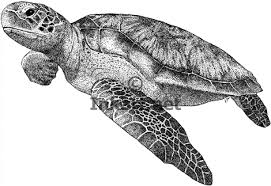 Pin On Art Surf Beach Ocean Art 3