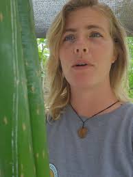 Growing Plumeria in Arizona