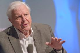 Sir david attenborough is to front a new app that will allow mobile phone users to enlist the presenter as a virtual tour guide who will appear in holographic videos when they visit sights across. Leadership Lessons From David Attenborough On How To Improve Your Business Message