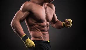 Evde Adonis Kasi Nasil Yapilir Muscle Fitness Turkiye