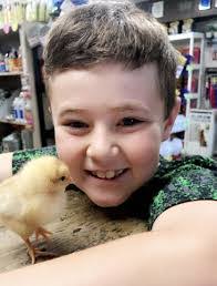 Troy Dreyer's Instagram, Twitter & Facebook