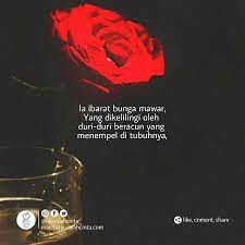 Banyak orang mengartikan bunga mawar adalah lambang dari cinta, kasih sayang, dan kesetiaan. Menakjubkan 14 Gambar Bunga Kata2 Romantis Koleksi Bunga Hd