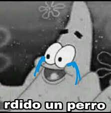 Mordido Un Perro Plantilla Para Responder Perros Memes Plantas