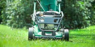 Looking For Your Lawn Maintenance In Oakville Lawn Repair Lawn Care Lawn Maintenance