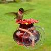 Your hummingbird feeder will be a supplemental source of nectar for your local hummingbirds, and can. Https Encrypted Tbn0 Gstatic Com Images Q Tbn And9gct8bd Zzfjeq6ncqfromucmsgfqycz A8rnly04xiw Usqp Cau