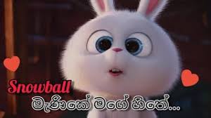 We belive this will become as a populer song in sri lankan sinhala music industry. Manike Mage Hithe Snowball Version Youtube