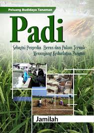 Jadi, dapat disimpulkan bahwa perkembangan ilmu sains sangat berpengaruh pada perkebangan ilmu teknologi. Buku Peluang Budidaya Tanaman Padi Penerbit Deepublish