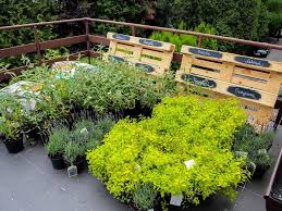 Check spelling or type a new query. Best Terrace Roof Garden Plants You Should Grow