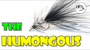 Season your fish with your remaining salt and pepper, or 1 tsp of your favorite taco seasoning. Lance Egan Ties A Humongous Stillwater Fly Youtube