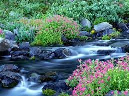Most Beautiful Nature Wallpapers Funny Strange Beautiful Nature Wallpaper Spring Desktop Wallpaper Beautiful Nature