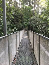 We did not find results for: Tree Top Walk Welcomed Us With Beautiful Chalet And Offers Plenty Of Activities Walking In A Sm Picture Of Tree Top Walk Sungai Sedim Kedah Tripadvisor