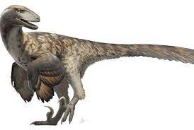 Check spelling or type a new query. Unlike Jurassic Park Real Raptors May Not Have Hunted In Packs Upi Com