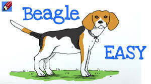 Draw A Dog Real Easy Beagle Youtube Photo tumblr is a place to express yourself, discover yourself, and … draw a dog real easy beagle
