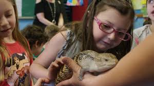 Costco & Box Tops help local schools like Temple Shaari Emeth in Manalapan,  NJ achieve amazing things! Be one of 3000 members who will win 100 Bonus  Box Tops
