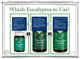 Uses for eucalyptus essential oil. Pin On Essential Oils