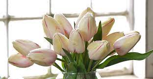4 Simple Ways To Keep Tulips From Drooping In Their Vase Tulips In Vase Tulips Daffodil Bouquet