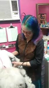 Dozens of animals rescued in skiatook. Blizzclips Pet Grooming 306 Howard St Morrilton Ar 2021