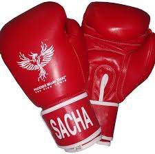 A wide variety of boxing equipment options are available to you boxing equipment. Phoenix Boxing Gloves Phoenix Muay Thai