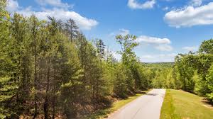 We are blessed with a mild climate: 141 Parkview Lane Sunset Sc 29685 Land For Sale At The Reserve At Lake Keowee