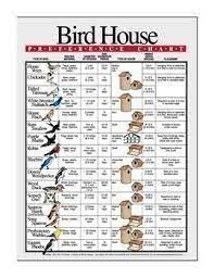 The cardinal bird house features a round entrance hole 3.5 inches in diameter with some starter nesting material and a solid wood perch. Image Result For Birdhouse Hole Sizes Uk Cardinal Bird House Bird House Kits Bird Houses