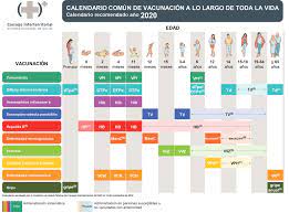Conoce las recomendaciones de sanidad para 2021. File Calendario Comun De Vacunacion A Lo Largo De Toda La Vida Espana 2020 Png Wikipedia