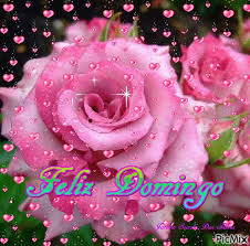 Resultado de imagem para frases para domingo feliz