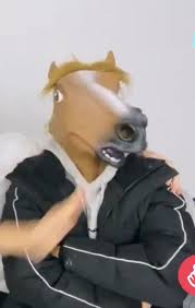 Jisung Being Slapped In Horse Mask Kid Memes Meme Faces Horse Meme