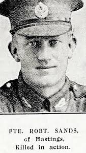 SANDS BROTHERS ~ Devonport op-shop uncovers the tragic cost of the Great  War