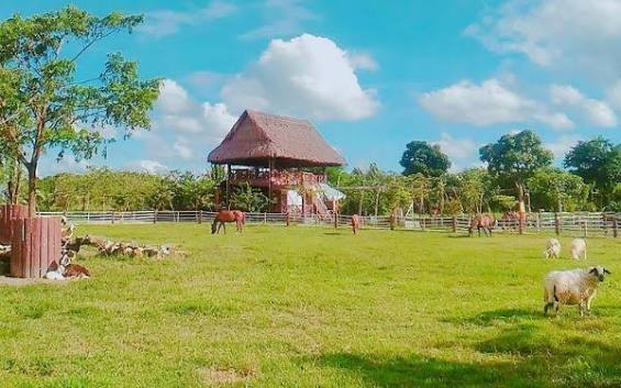 N&ocirc;ng Trang Xanh Củ Chi
