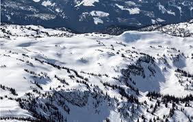 Cabin reservations are a 2 night minimum june 21 through sept 1. Boulder Mountain Revelstoke Bc Snowmobiling Ride Guide