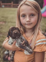 Shallowford Shorthairs